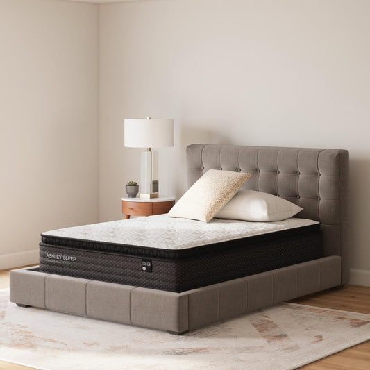 Limited Edition Pt Mattress