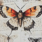 Jossletts Wall Art Set (3/CN)