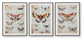 Jossletts Wall Art Set (3/CN)