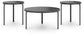 Dorylin Occasional Table Set (3/CN)